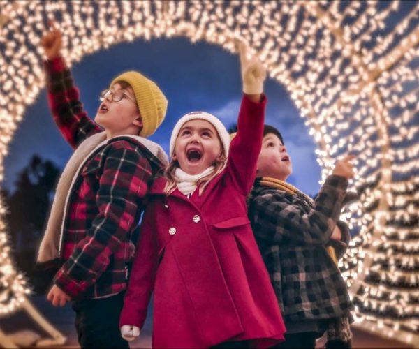 English Riviera to hold ‘Bay of Lights 2025’ from 28 November to 02 January